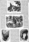 Pictorial times 28.12.1844b.jpg