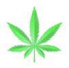 Marijuana leaf .jpg