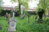 s back garden 170.jpg