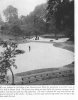 Muntz Park clip.jpg