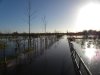 23rd November 2012 Friday 1 051.jpg