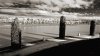 DSC_1655_edited-1.jpg