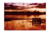 Bench With A Vew_edited-1.jpg