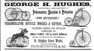 advert 1880 kellys George H hughes.jpg