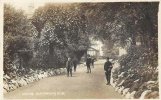 #111 - Handsworth Park - Avenue - 1913..jpg