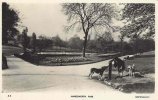 #120 - Handsworth Park - Fountain - 1959.jpg