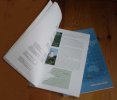 P3200739cropweb1000.jpg