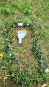 harrys grave.jpg