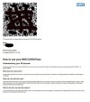 Untitled.jpg