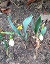 20220122_101538.jpg