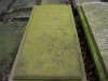 s_Grave_2007_edit.jpg