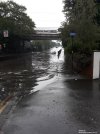 Floods.jpg