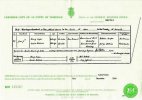 Henry Cooper & Louise Hobbins marriage certificate.jpg