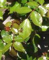 IMG_2396.JPG