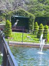 20220415_120321 (1).jpg
