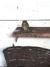 20220421_092029.jpg