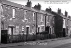 cattells-grove-1.jpg