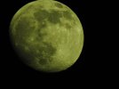 A270D36E-6C7B-41CA-8312-206FFD334D1D.jpeg