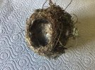 nest.jpg