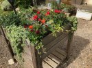 flowerbox.jpeg