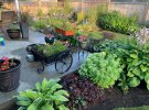 Patio.JPG