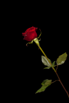 1663572610060.png