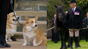 1663662078609.png