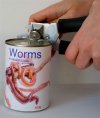 worms.jpg