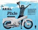 pixie_1.jpg