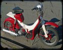 BSA DANDY.jpg