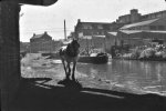 Camp Hill Canal (horse-pulled narrowboat going under GWR railway bridge) March 1964.jpg