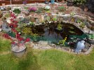 Pond.jpg