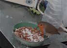 20230116_132856.jpg