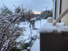 snow.jpeg