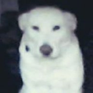 rosspy