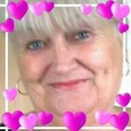 Patricia rose