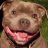 Samy