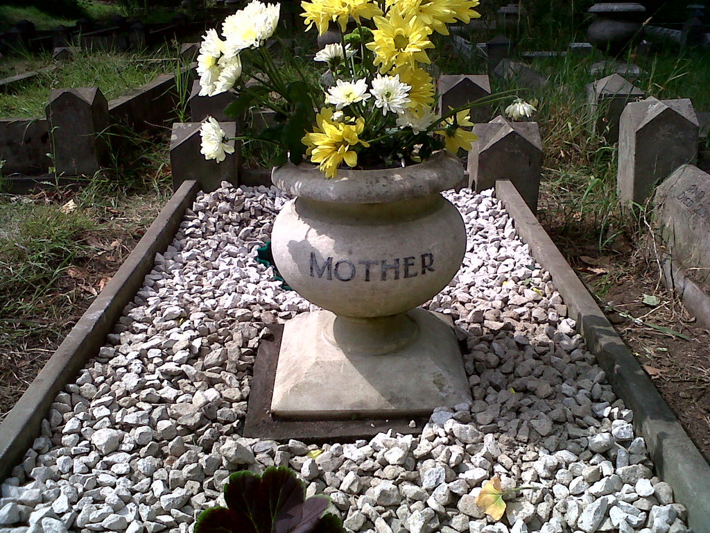 IMG00010-20110801-1457.jpg