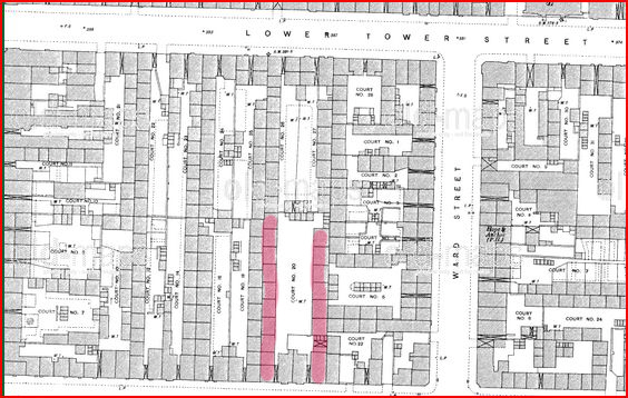 Brighton_terrace__new_summer_st_map_c_1889.JPG