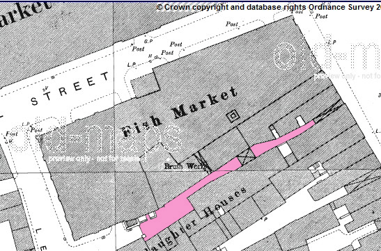 map_c_1889_showing_passageway_by_fish_market_off_Spiceal_St.jpg