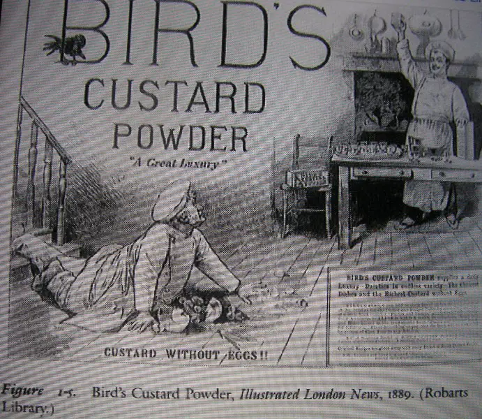 Bird_s_Custard_advert_1889.JPG