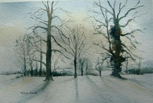 normal_Winter_Trees_001.JPG