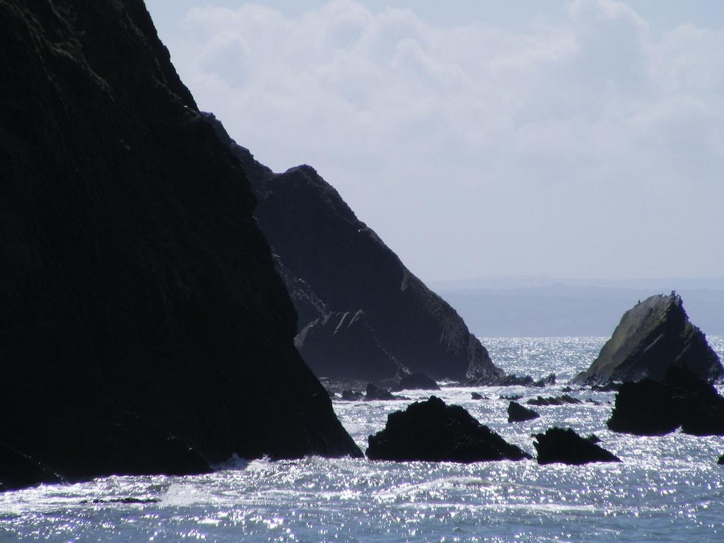 Cormorant_Rock_28d29.JPG