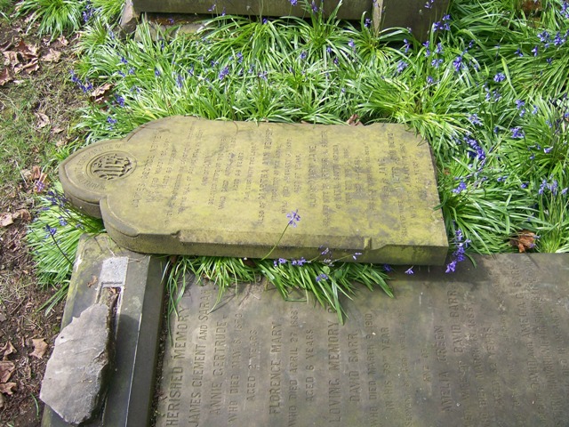 David_Barr_2.JPG