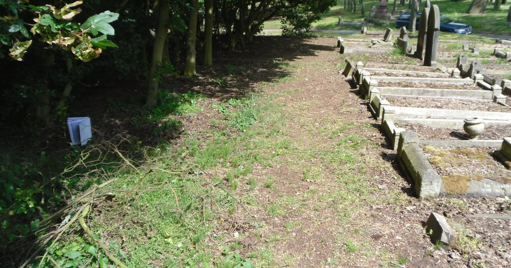 WL_942_looking_towards_main_path_x_roads.JPG