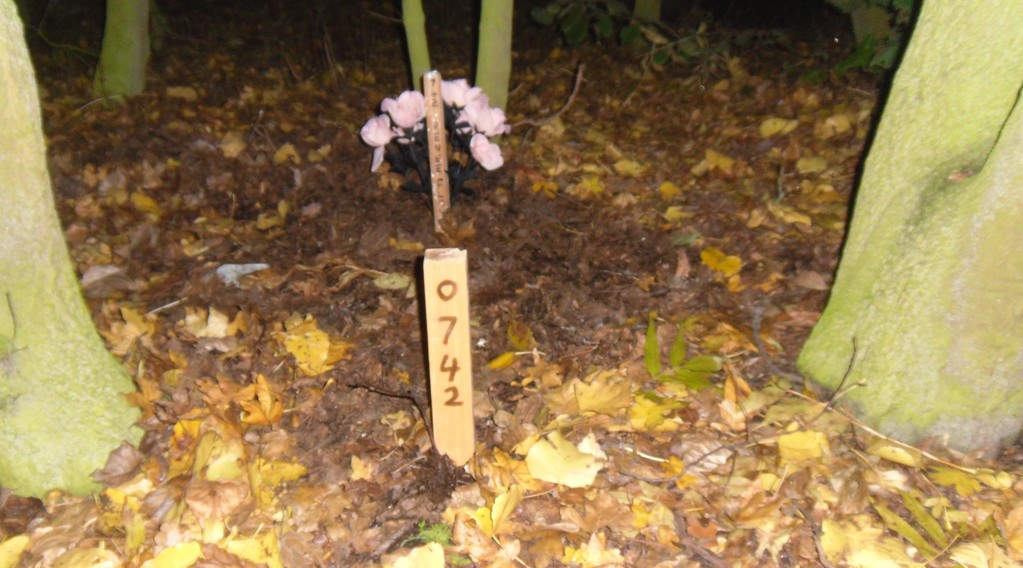 WL_O742_markers.JPG