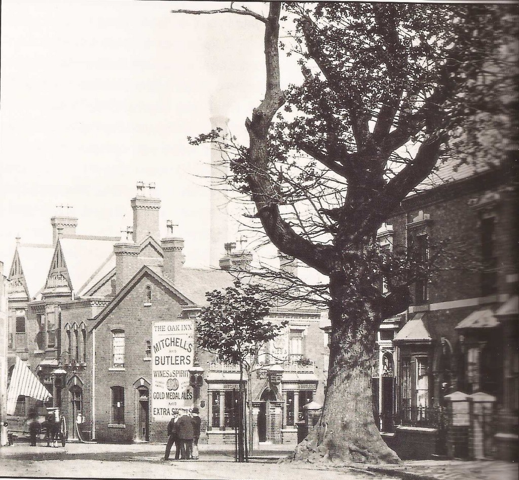 Selly_Oak_s_oak_1908.jpg